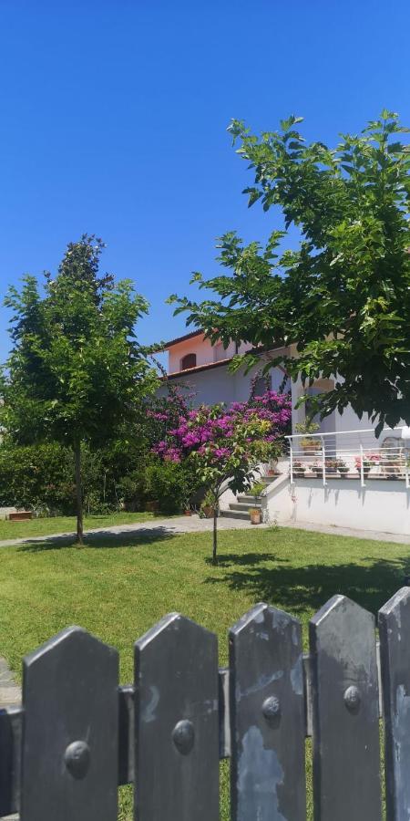 B&B Villa La Bouganville Camaiore Esterno foto