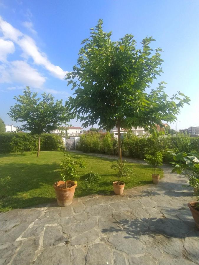 B&B Villa La Bouganville Camaiore Esterno foto