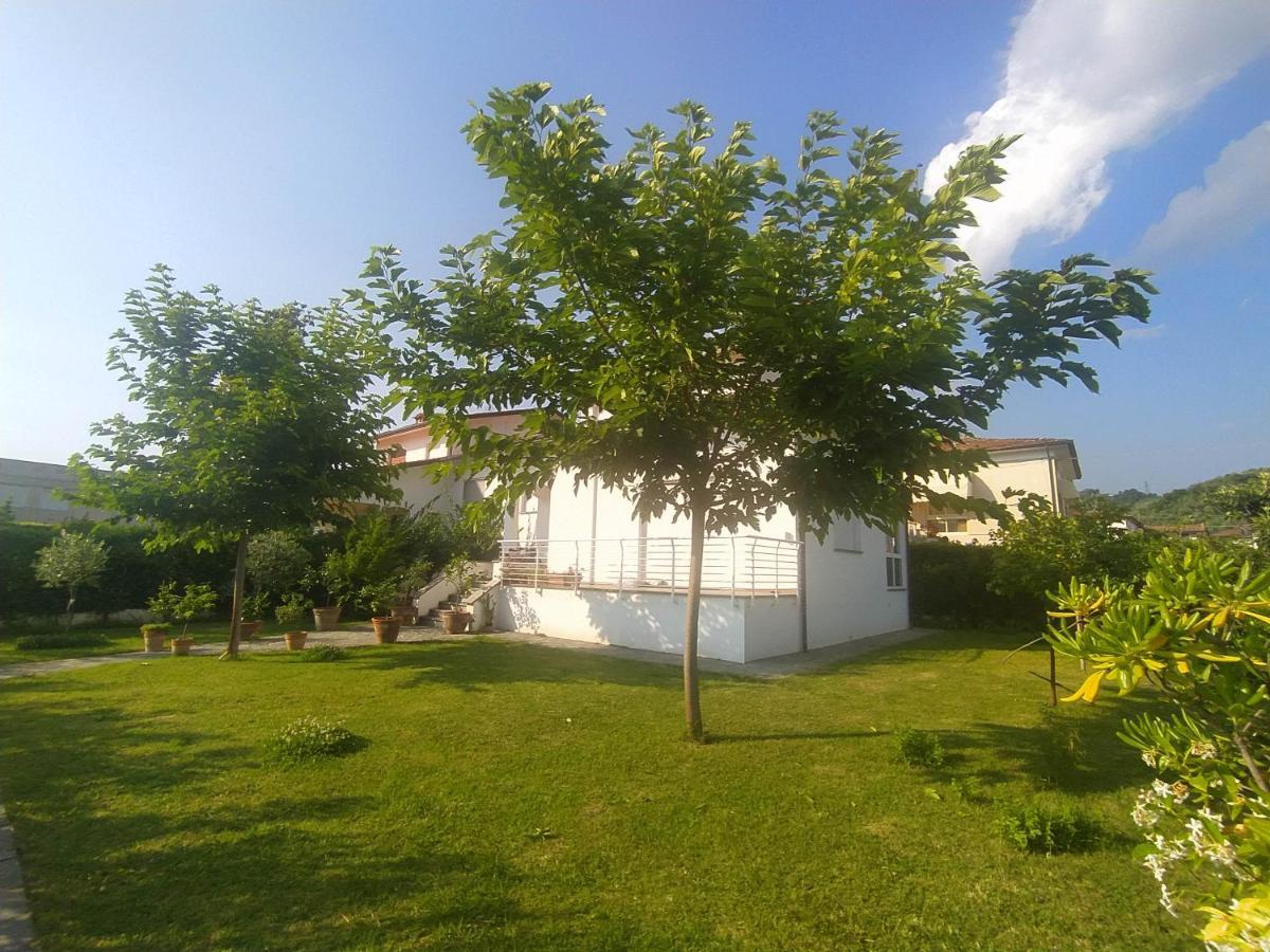 B&B Villa La Bouganville Camaiore Esterno foto