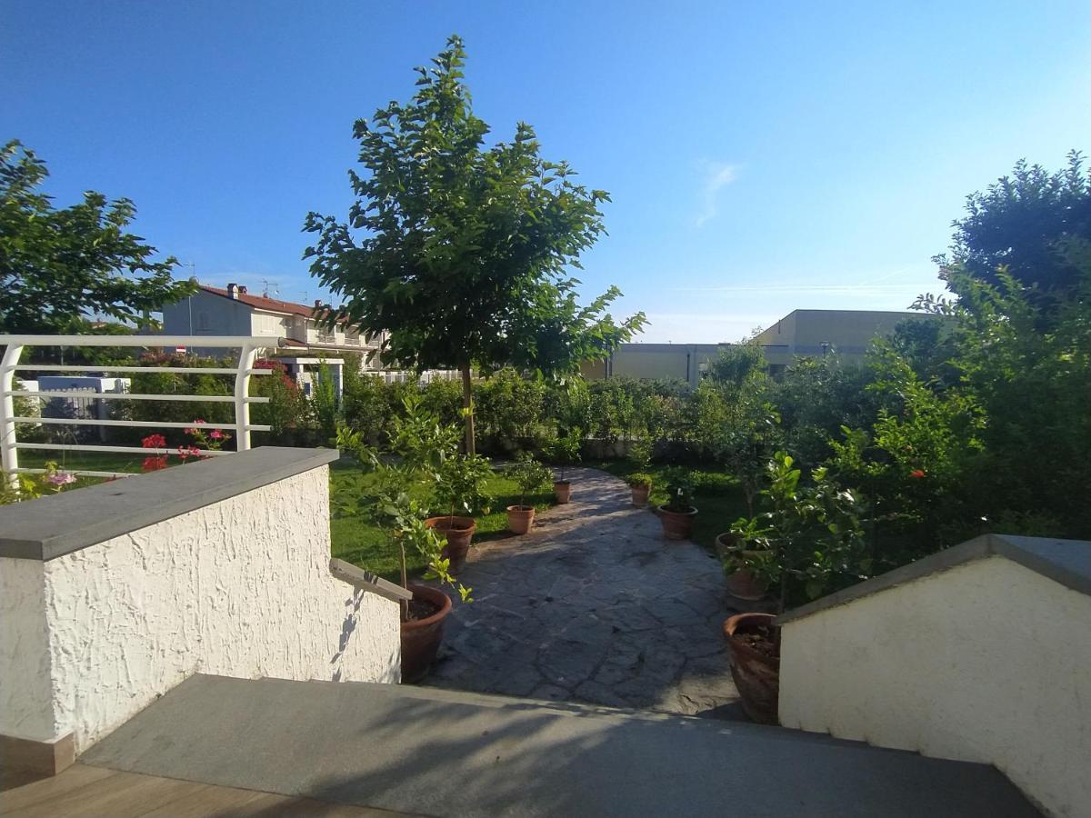 B&B Villa La Bouganville Camaiore Esterno foto